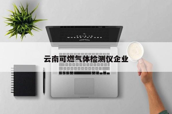 云南可燃?xì)怏w檢測(cè)儀企業(yè)